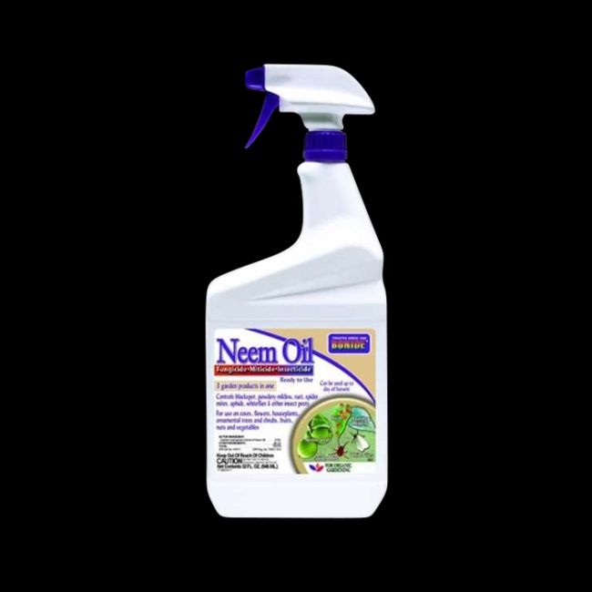 Bonide Neem Oil RTU Qt
