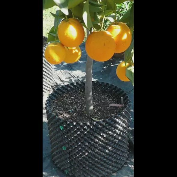AirPot #7 5.4gal