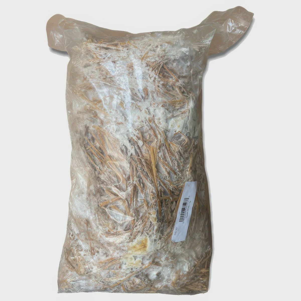 Blue Oyster Mushroom Straw Log (Living Mulch)
