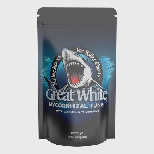 Great White 4oz.