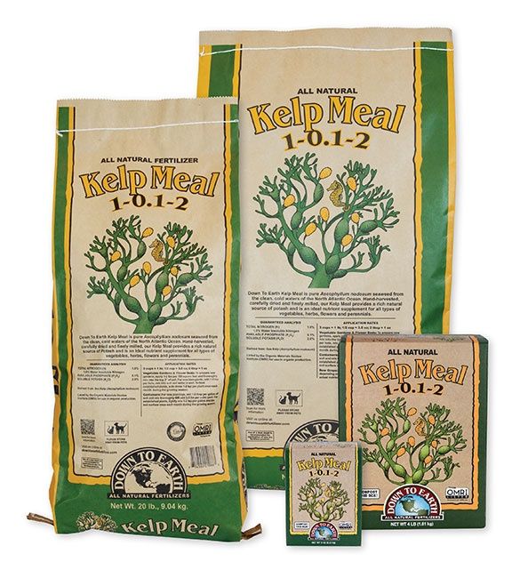 DTE 4# Kelp Meal 1-0.1-2