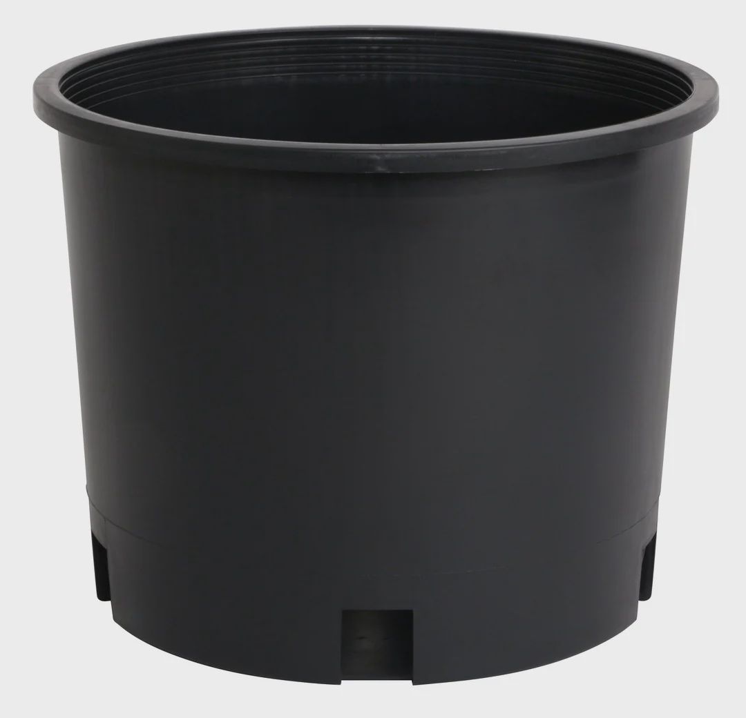 3 Gallon Injection Nursery Pot