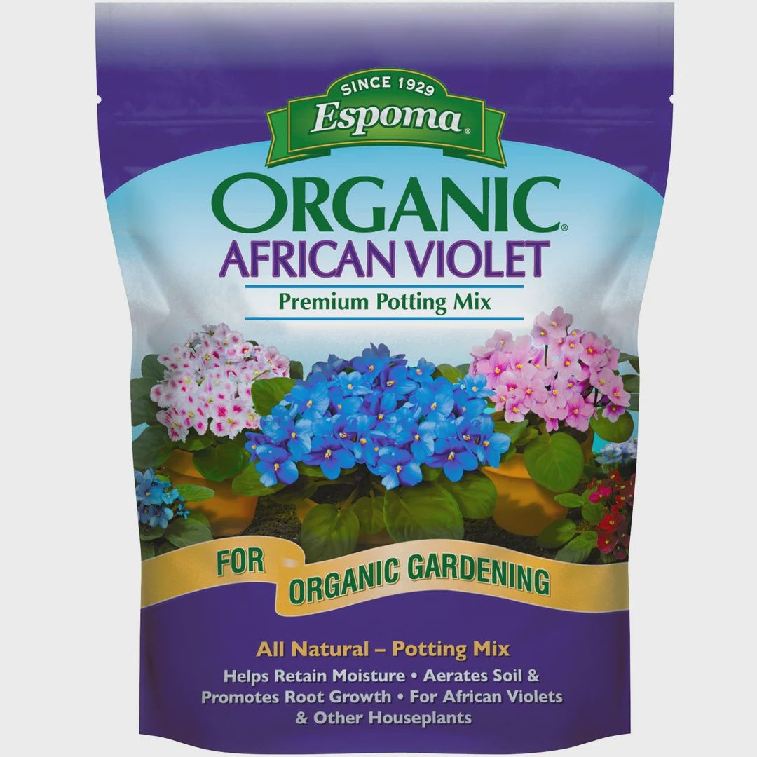 African Violet Mix 4qt.