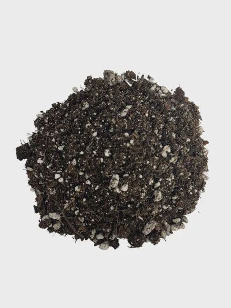 BuildASoil Heady Start Seedling Soil Recipe 1cuft.