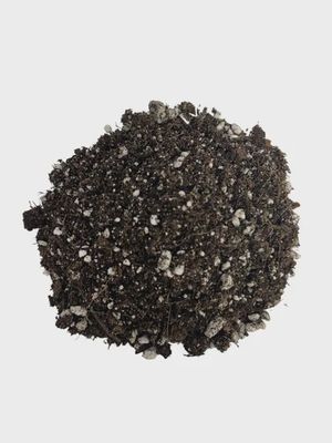 BuildASoil Heady Start Seedling Soil Recipe 1cuft.