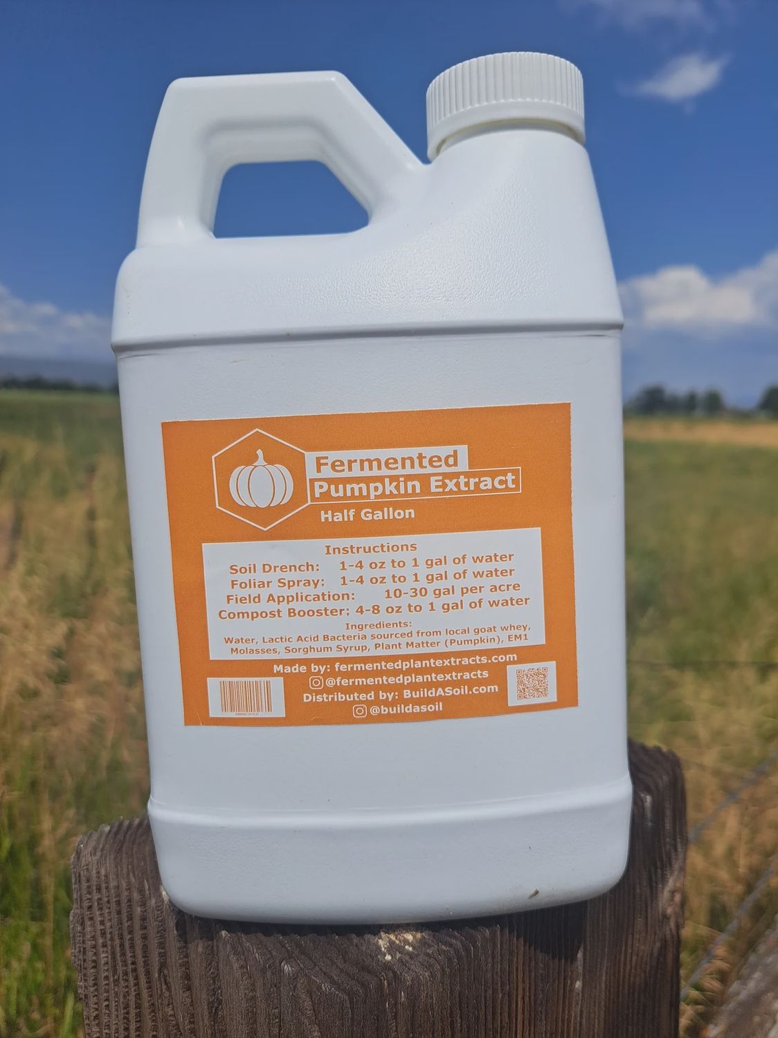Fermented Pumpkin Extract 1/2 gal.