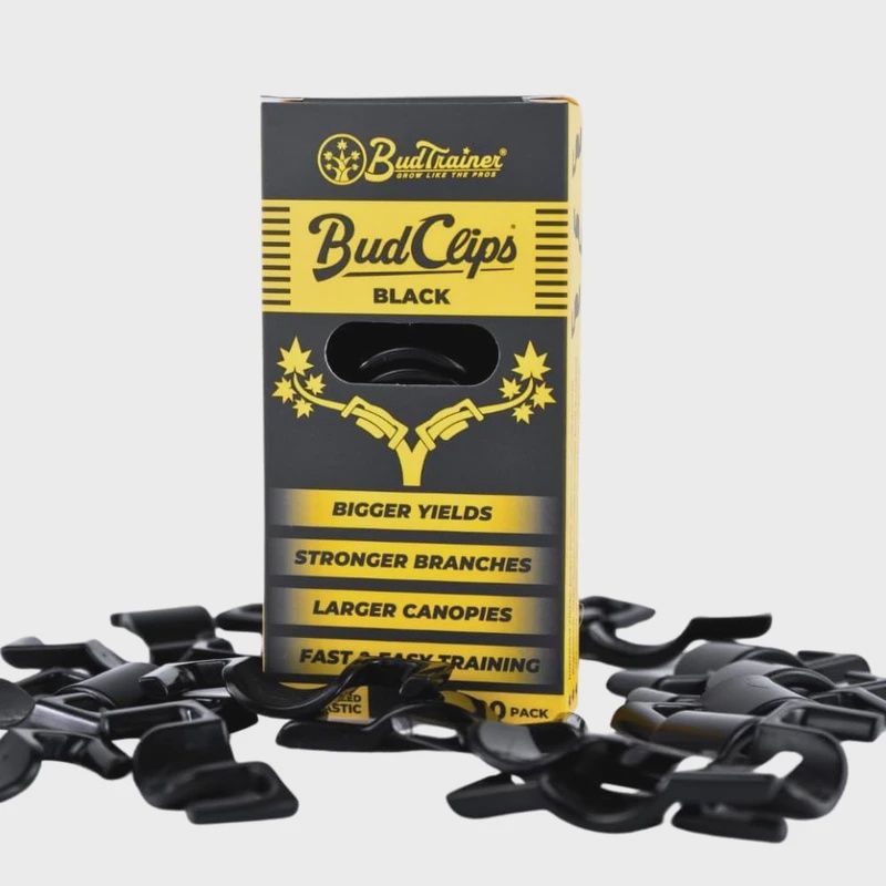 Black BudClips