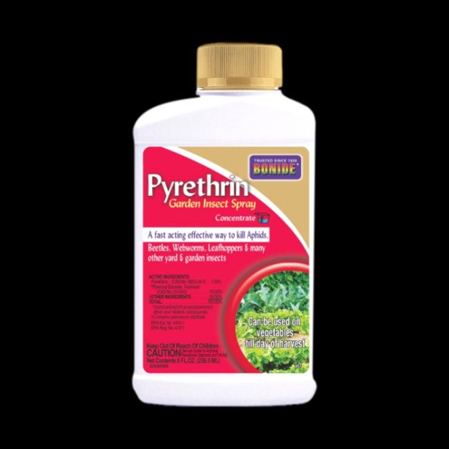 Bonide Liquid Pyrethrin Concentrate 8oz.