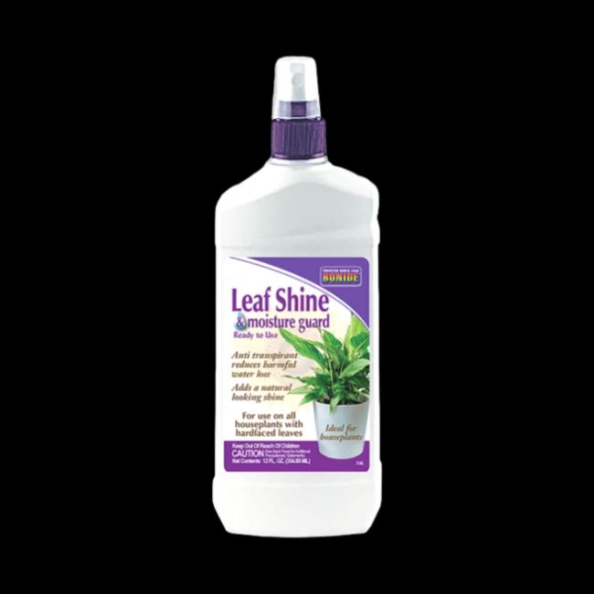 BONIDE Leaf Shine 12oz.