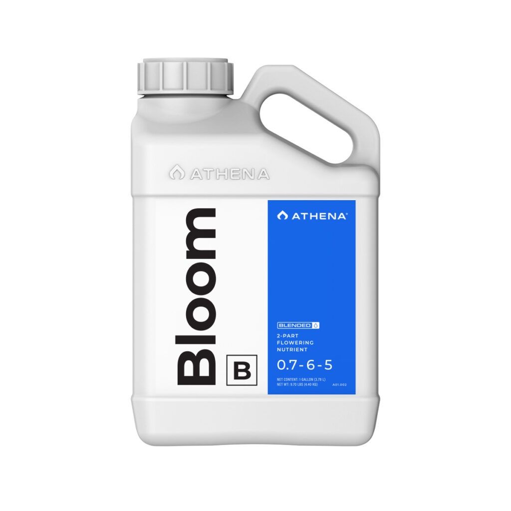 ATHENA Bloom B-1G