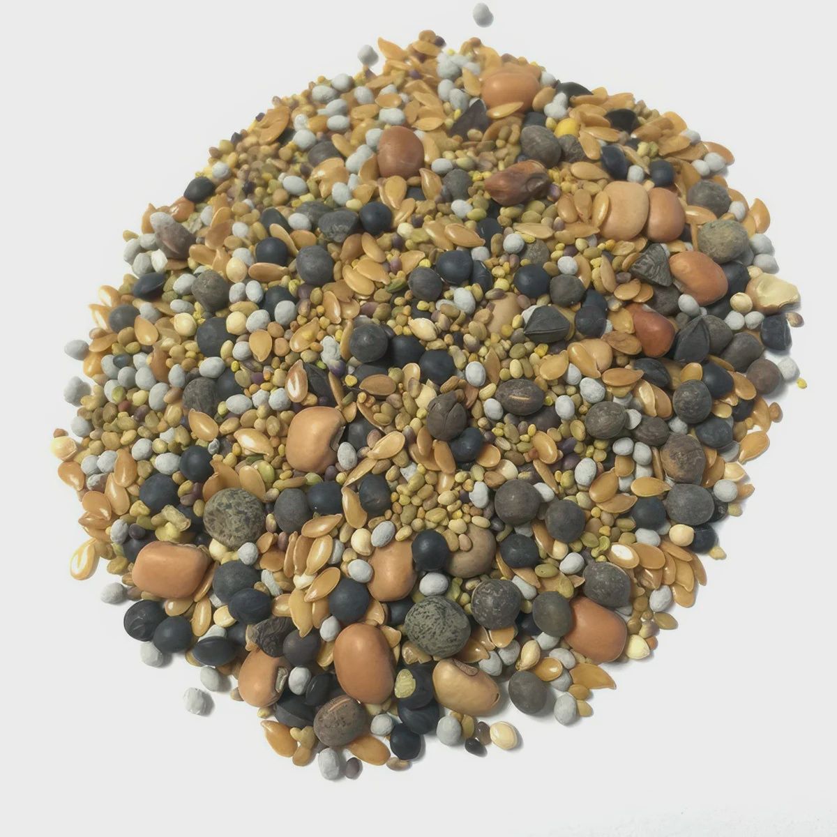 Clover Cover Crop Blend-12 Seed BuildASoil Mix 60% Clover