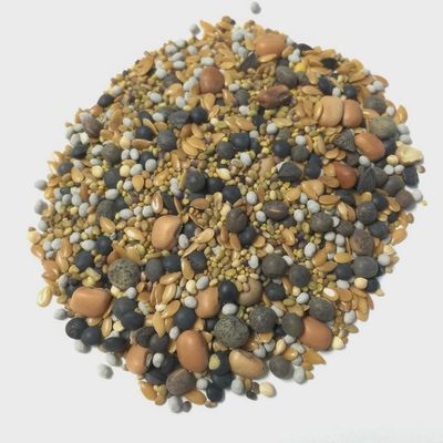Clover Cover Crop Blend-12 Seed BuildASoil Mix 60% Clover