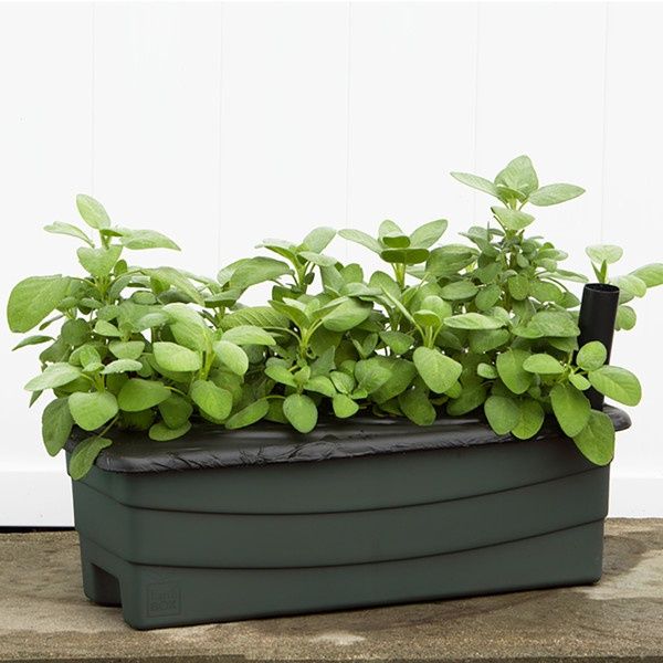 EarthBox Jr Natural Garden Kit (Green)