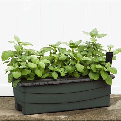 EarthBox Jr Natural Garden Kit (Green)