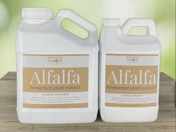 Alfalfa Fermented Plant Extract 1/2 Gal.