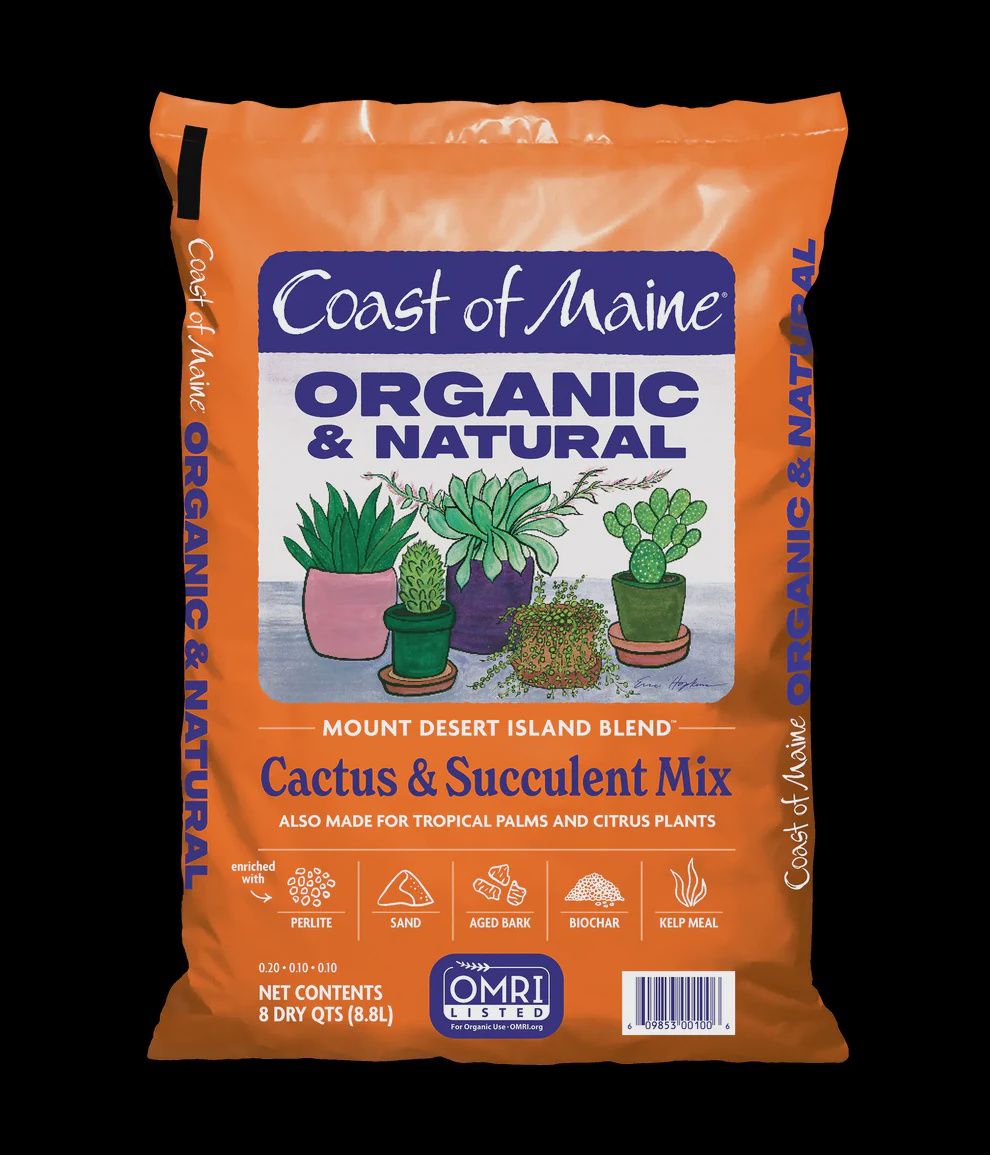 Coast of Maine Cactus &amp; Succulent Mix 8qt.