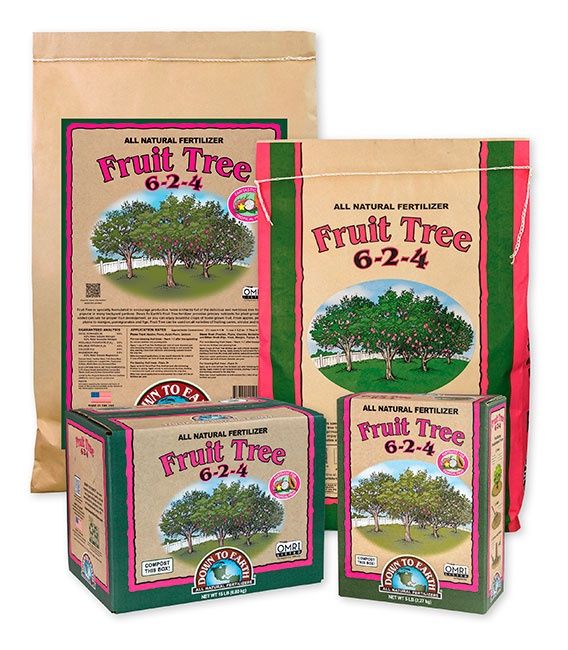 DTE Fruit Tree 6-2-4