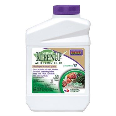 Botanical KleenUp Concentrate 16oz