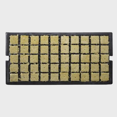 GRODAN 1.5" AOK plugs w/ Tray