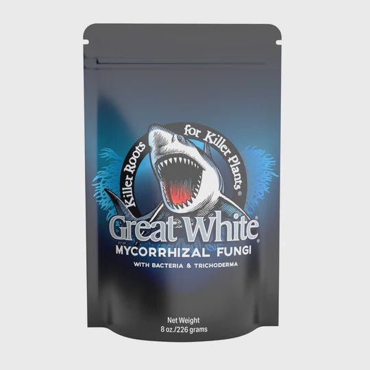 Great White 8oz.