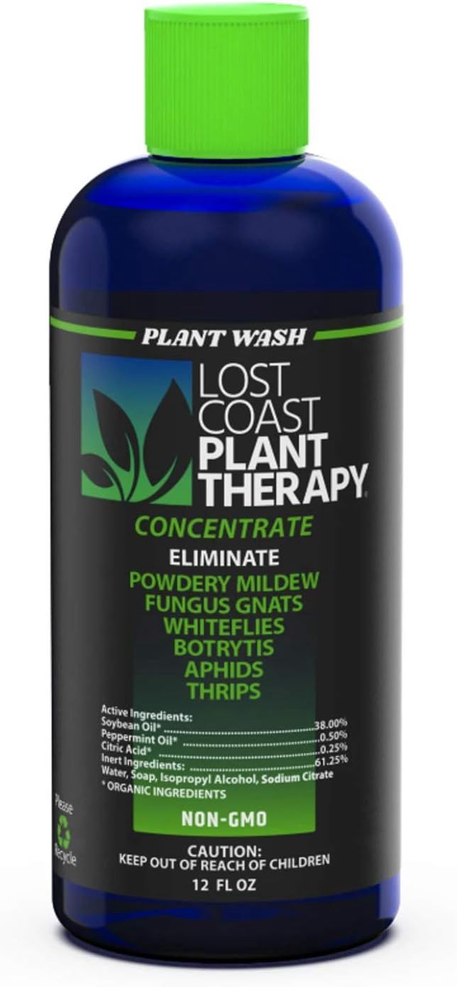 Lost Coast 12oz. Plant Company