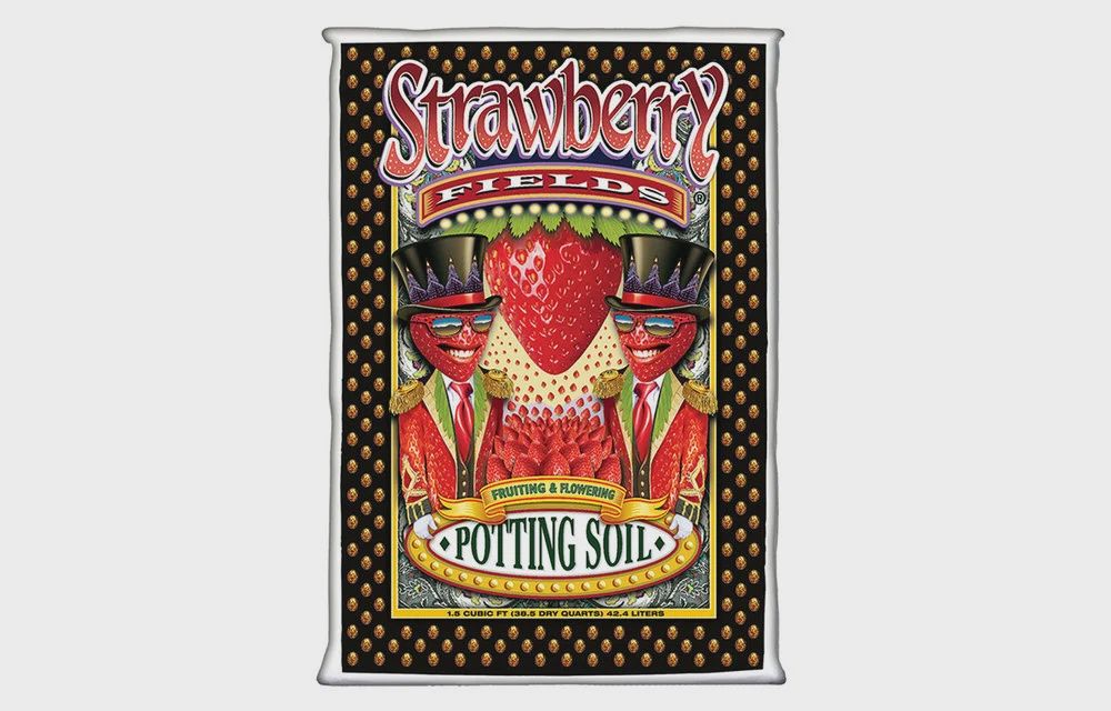Strawberry Fields Potting Soil 1.5cf