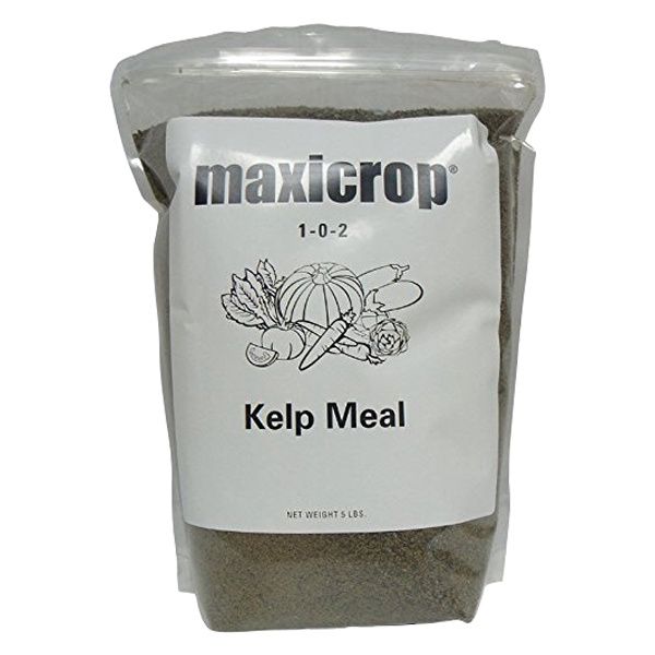 MaxiCrop Kelp Meal 1-0-2