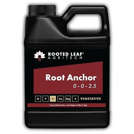 Rooted Leaf-Root Anchor 1qt.