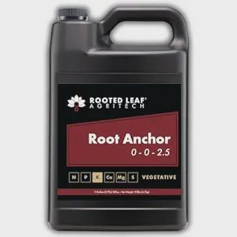 Rooted Leaf-Root Anchor 1 Gal.