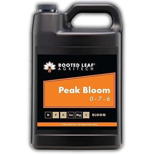 Rooted Leaf-Peak Bloom 1 Gal.