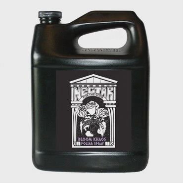 NFG Bloom Khaos 1gal