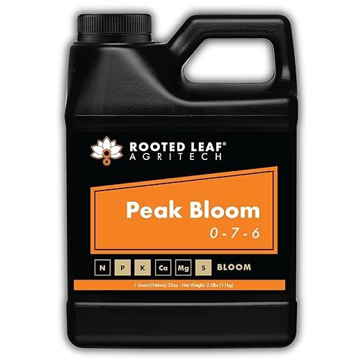 Rooted Leaf-Peak Bloom 1qt.