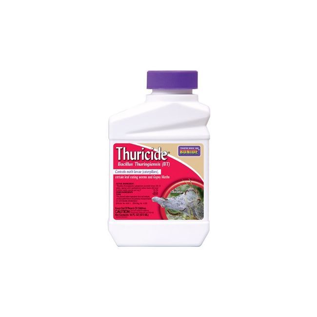 Thuricide BT Concentrate Pt.