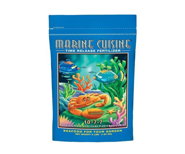Marine Cuisine 4#