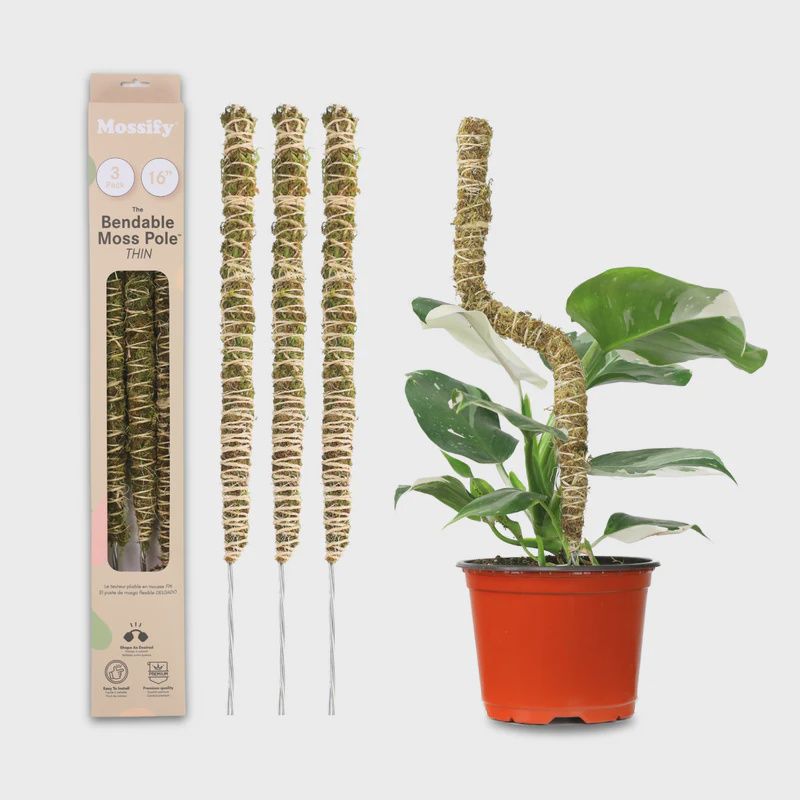 Mossify 16" 3pk Bendable Moss Poles