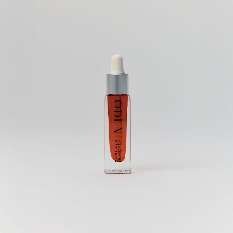 Concentré d'Églantier