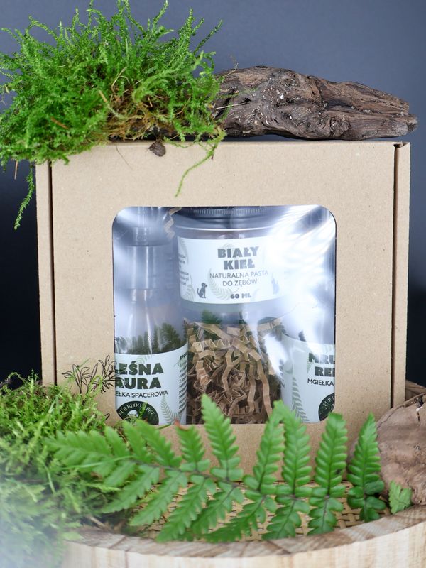 Zestaw prezentowy kot