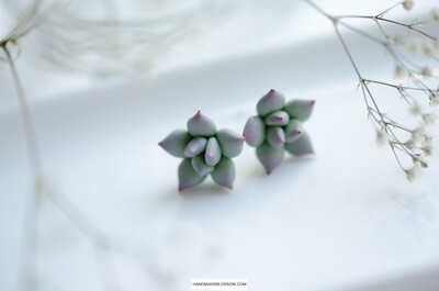 Green succulent stud earrings, Cactus, Botanical earrings