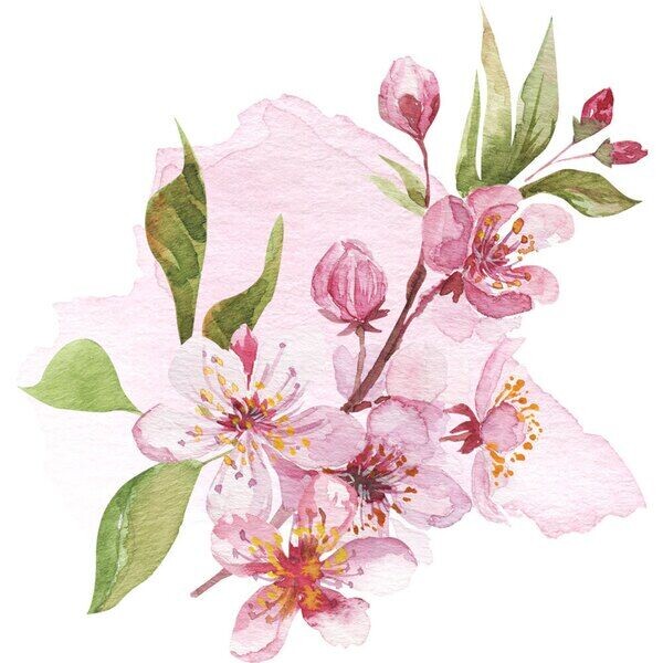 Handmadeblossom