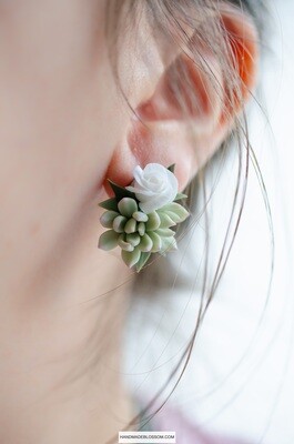 Succuletns and rose studs