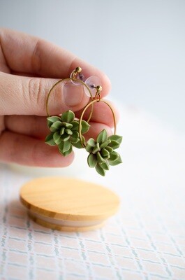 Oval succulent earrings