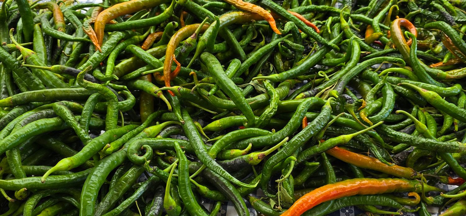 Italian Long Hot Pepper Jelly