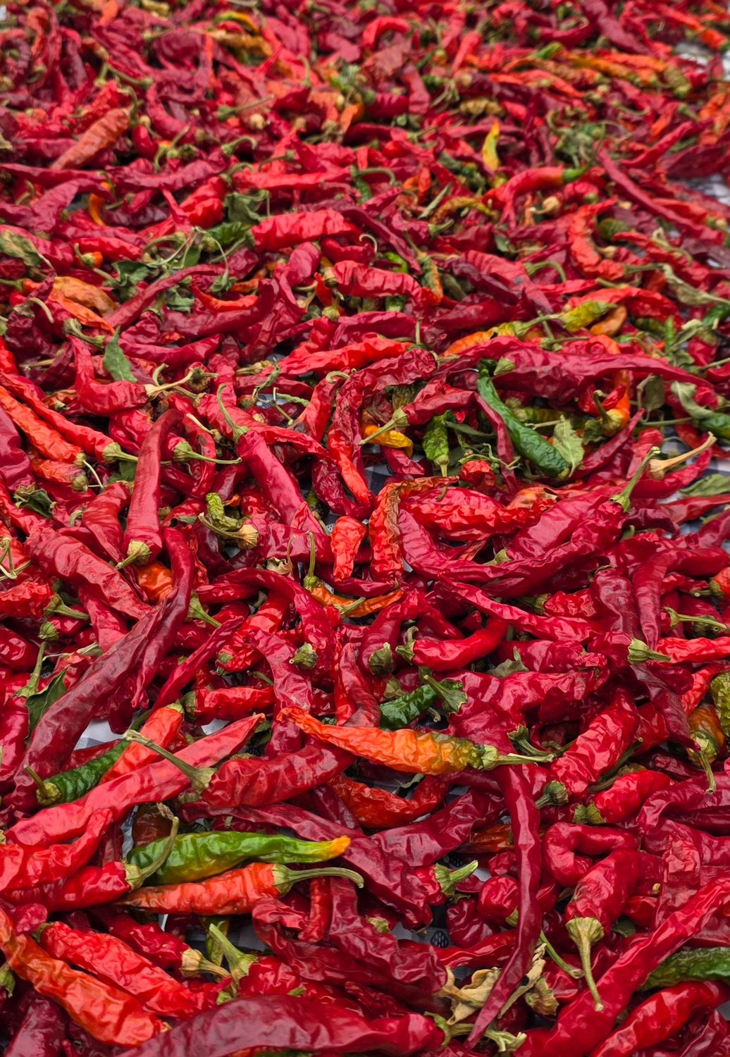 Red Chili Pepper Jelly