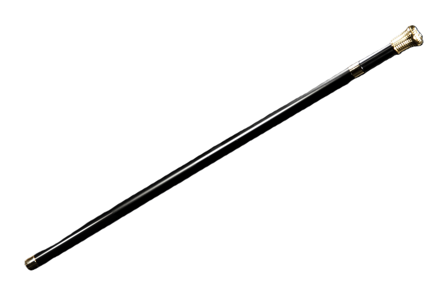 Wheelie Cane