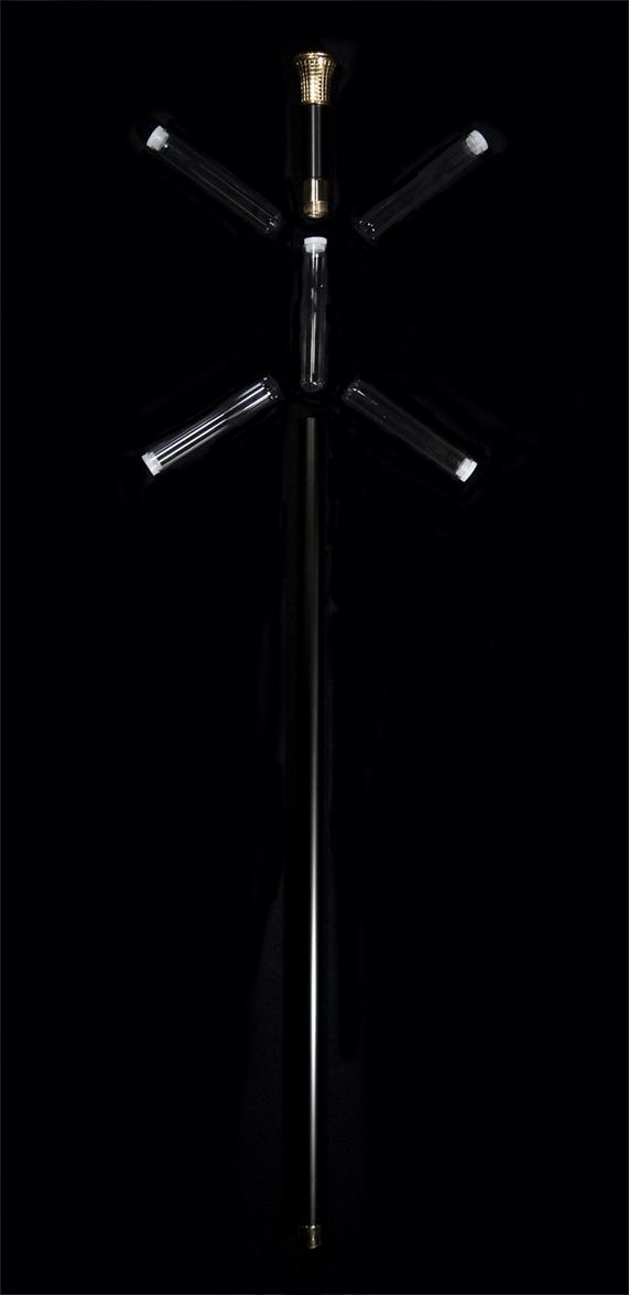 Wheelie Cane