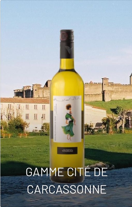 GAMME CITÉ DE CARCASSONNE