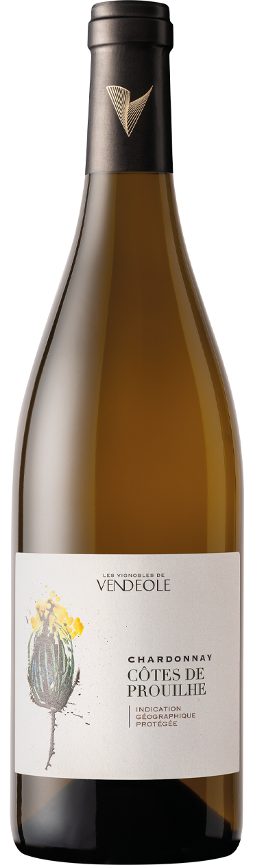 CHARDONNAY