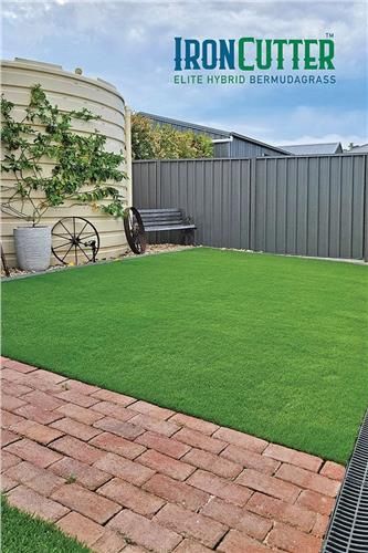 Turf Ironcutter Elite Hybrid Bermudagrass / m2