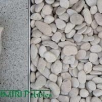 Kashmiri Ivory Natural Pebbles
