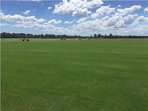 Turf Winter Green Couch / m2